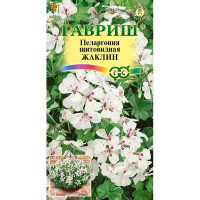 КОМ Пеларгония Жаклин Гавриш Цх10