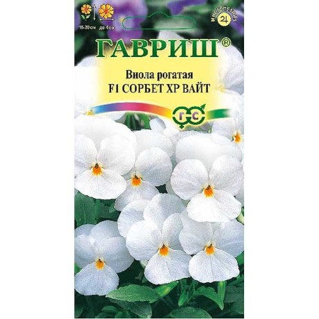 Виола рогатая Сорбет ХР Вайт Гавриш Ц