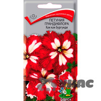 Петуния Кан Кан бургунди Поиск Ц