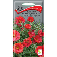 Семена Портулак Солнечная страна красный Поиск Ц