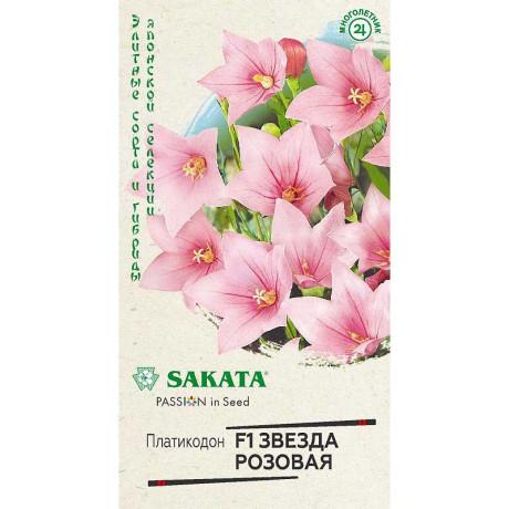 Платикодон Звезда розовая Гавриш Ц