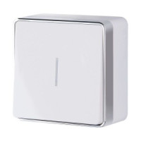 Werkel выкл. ОУ 1 кл. 10A (инд.) Gallant (белый) W5010101 a051578