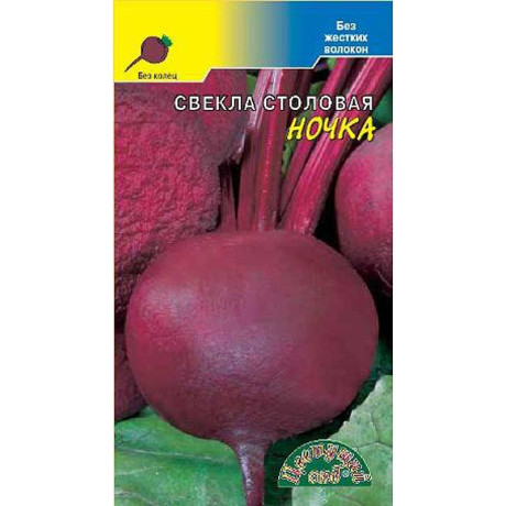 Свекла Ночка ЦветСад Ц