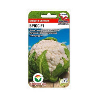 Капуста цветная  Брюс СибСад