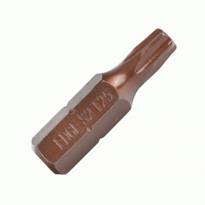 PATRIOT Бита EDGE by T25, сталь S2, длина 25 мм, 2шт в блистере, 818010020