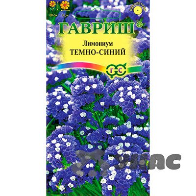 Лимониум темно-синий Гавриш Ц