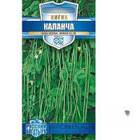 Вигна Каланча Гавриш Ц