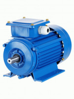 TDM электродвигатель АИР 112MA6 3 кВт 1000 об/мин 1081 (лапы) SQ3001-0036