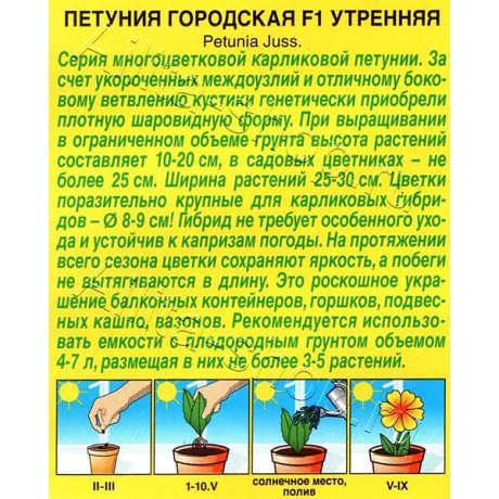 Петуния Городская утренняя Аэлита Ц