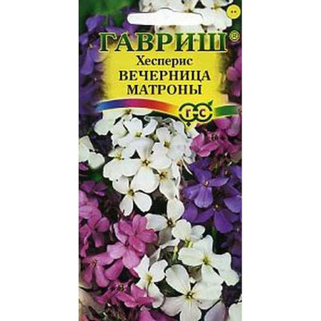 Хесперис Вечерница Матроны смесь Гавриш Ц