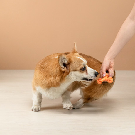 VETTA Игрушка для домашних животных, ТПР, 8х5,5 см