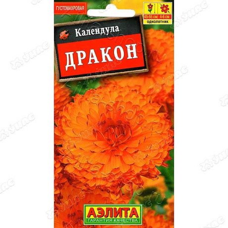 Календула Дракон Аэлита Ц