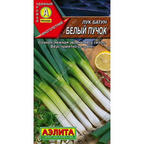 Лук батун Белый пучок Аэлита Ц