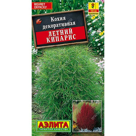 Кохия Летний кипарис Аэлита Ц