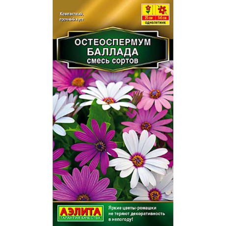 Остеоспермум Баллада, смесь Аэлита Ц