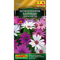 Остеоспермум Баллада, смесь Аэлита Ц