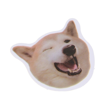 ИГРОЛЕНД Игрушка сюрприз "Мемные животные" стикеры 30штук, 9х11см