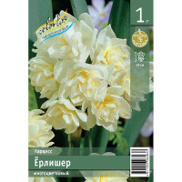 Нарцисс Ёрлишер 13/14 1 шт