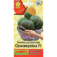 Тыква Оранжерейка Аэлита Ц