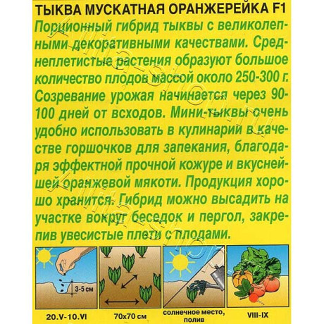 Тыква Оранжерейка Аэлита Ц