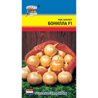 Лук Бонилла шалот Урожай у дачи Ц