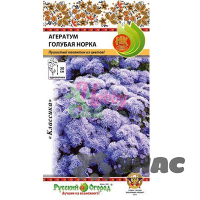 Агератум Голубая норка/ Блу Минк НК Ц