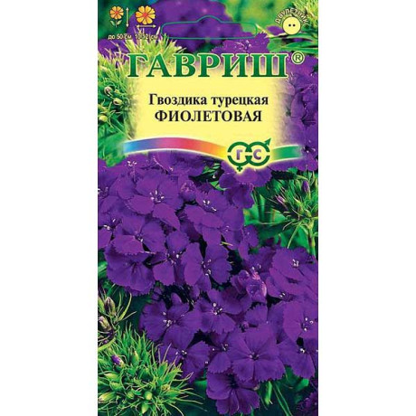 Гвоздика турецкая Фиолетовая Гавриш Ц