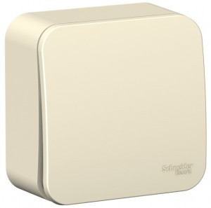 Systeme Electric BLANCA выкл. ОУ 1 кл. 6А молоч. (пл.осн., изол.пл.) BLNVA061012 (15!)