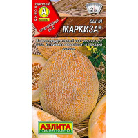 Дыня Маркиза Аэлита Ц