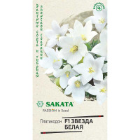 Платикодон Звезда белая Гавриш Ц