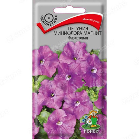 Петуния Магнит Фиолетовая минифлора Поиск Ц