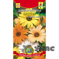 Диморфотека Пастель Плазма Ц