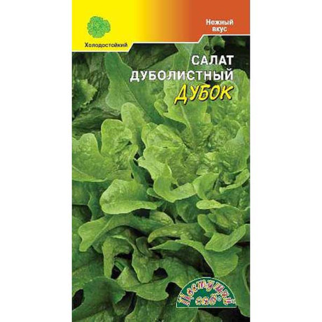 Салат Дубок ЦветСад Ц