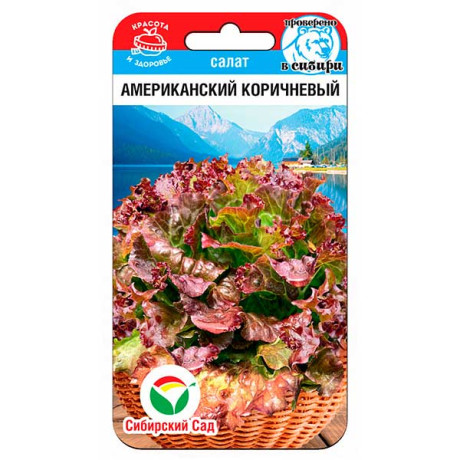 Салат Американский коричневый СибСад Ц