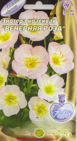 Энотера красивая Вечерняя роза НК Ц