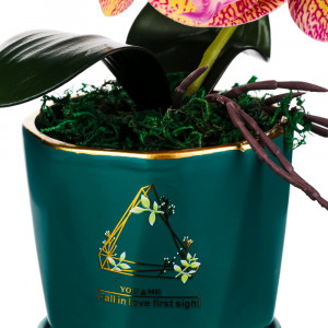 LADECOR Цветочная композиция, Орхидея в керамическом кашпо, 4 цвета, 10х35 см