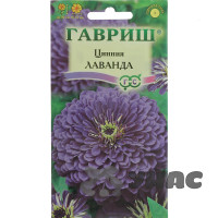 Циния Лаванда Гавриш Ц
