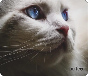 Perfeo Коврик для комп. мыши "Cat", Рис.25 (180x220x2 мм), ткань+резин.основание PF_D0669