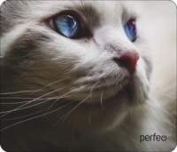 Perfeo Коврик для комп. мыши "Cat", Рис.25 (180x220x2 мм), ткань+резин.основание PF_D0669