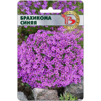 Брахикома Синяя Биотехника Ц