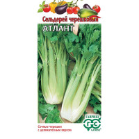 Сельдерей черешковый Атлант Гавриш Ц