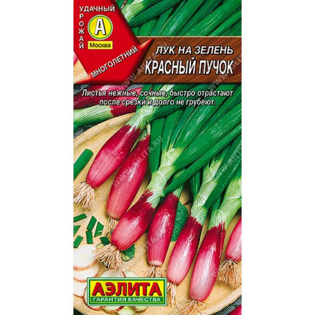 Лук на зелень Красный пучок Аэлита Ц