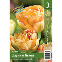 Тюльпан Шарминг Бьюти 11/12 3 шт