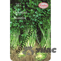 Сельдерей Афина (Нидерланды) Каприс