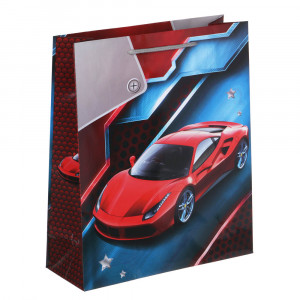 LADECOR Пакет подарочный, бумажный, 26x32x10 см, 4 дизайна, авто/мото