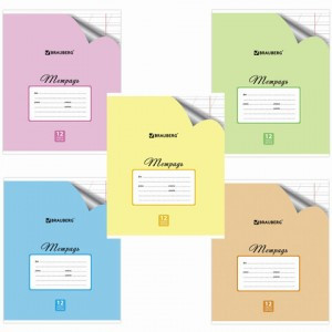 Тетрадь 12л. BRAUBERG "ЭКО" косая линия, обл.офсет, Пастельная с уголком (5 видов), 104504