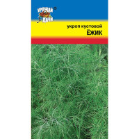 Укроп Ежик Урожай у дачи Ц