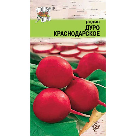 Редис Дуро Краснодарское Урожай у дачи Ц