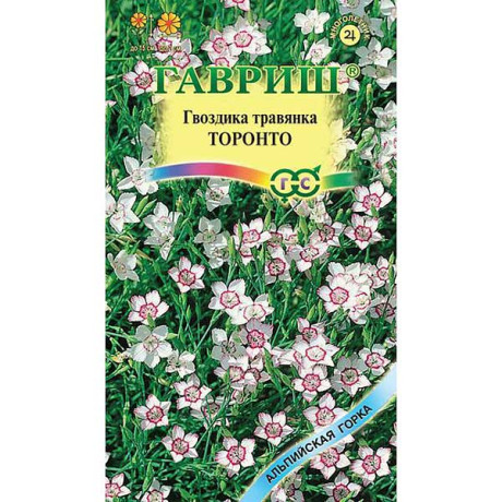Гвоздика травянка Торонто Гавриш Ц