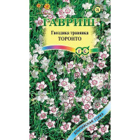 Гвоздика травянка Торонто Гавриш Ц